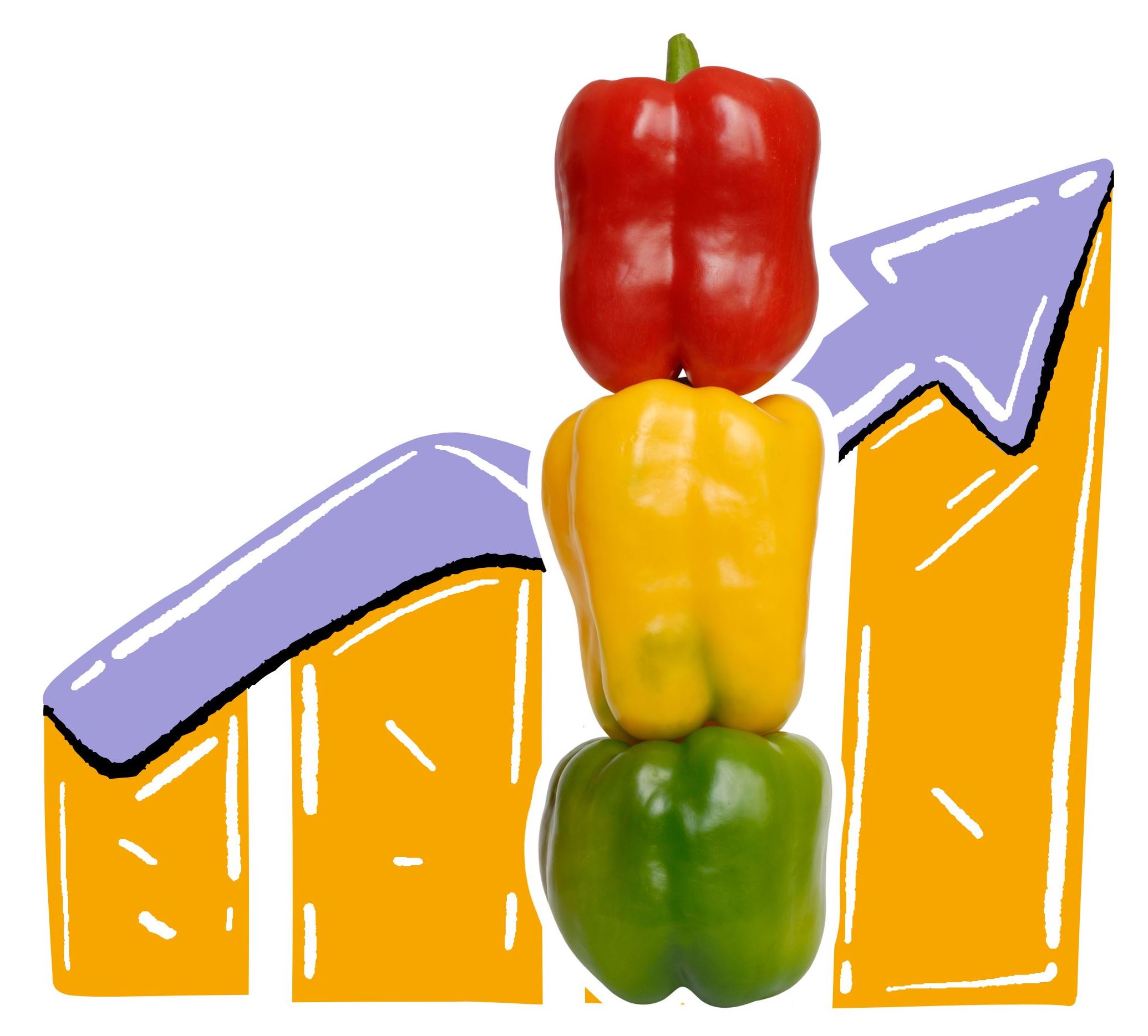 Які предмети потрібно здавати на маркетолога